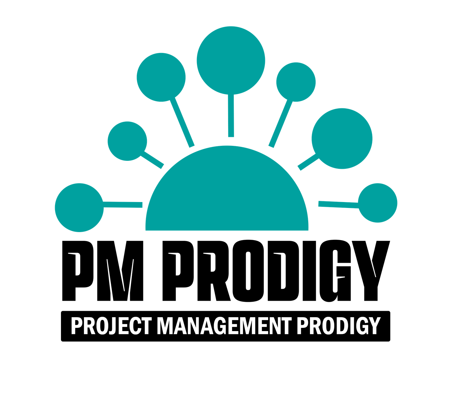 Project Management Consultant